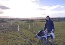 Chew Valley Plants Trees - Farmland to woodland?