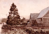 Can you solve this week's mystery photo?