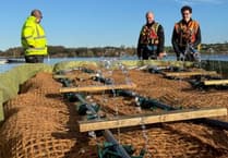 Bristol Water trial rafts to improve water quality and create habitats
