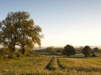 New vision to get farming transition "back on track" in Somerset