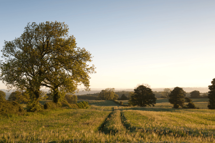 The Wildlife Trusts has launched a vision for the future of food and farming 