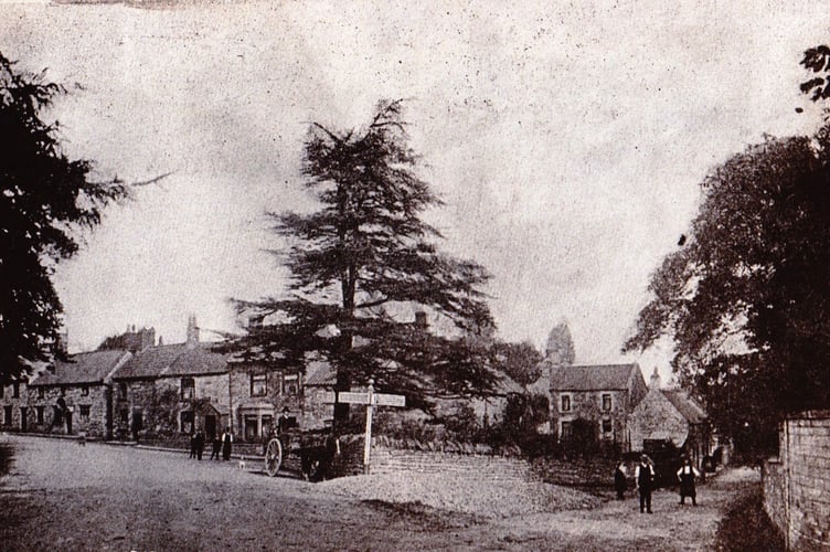 Can you guess this week's mystery photograph?