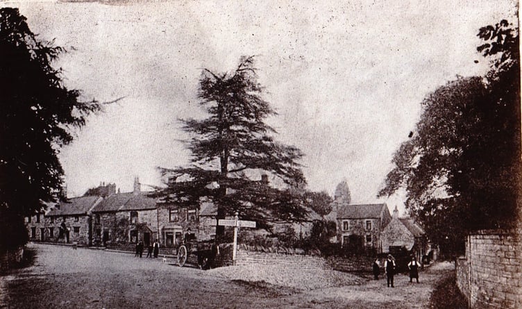 Can you guess this week's mystery photograph?