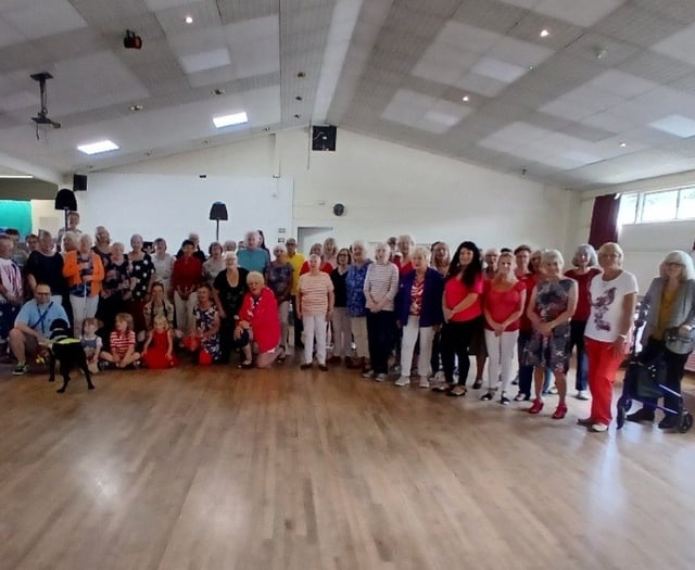 Line dance club to set up fundraiser in aid of guide dog charity