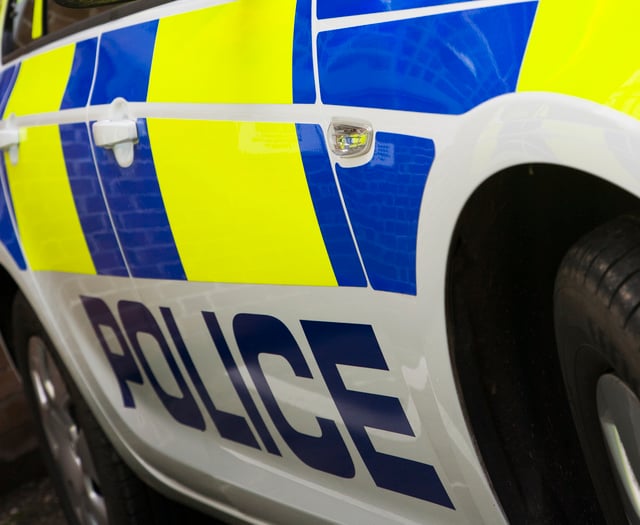 Witness appeal after air rifle incident