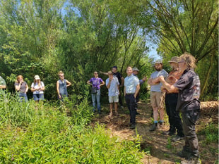 Holding water in the landscape and growing trees