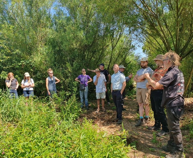 Holding water in the landscape and growing trees
