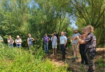 Chew Valley Plants Trees - Holding Water in the Landscape and Growing Trees