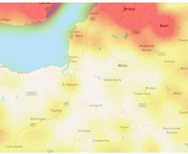 Japanese knotweed threatens Radstock homes