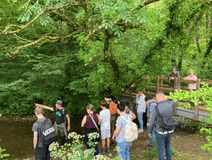 Walking festival to return with theme of discovery