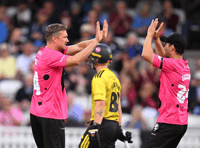 Somerset through to T20 quarter finals after beating rivals