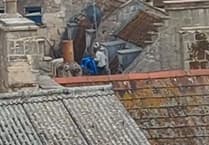 Police hunt suspect who 'attacked seagulls'