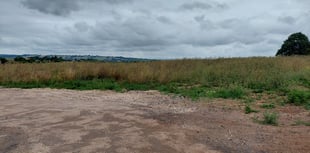 Castle Cary housing plans reveal 60 more homes near railway