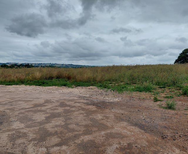 Castle Cary housing plans reveal 60 more homes near railway