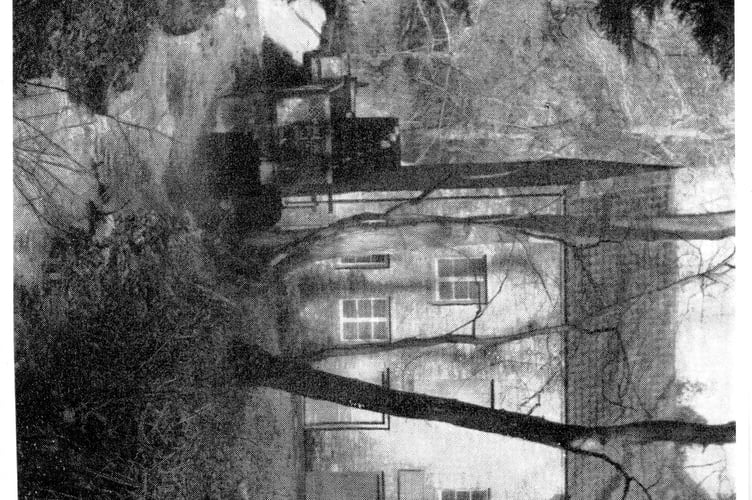 Can you guess this week's Mystery Photograph?