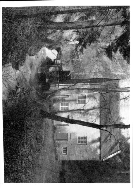 Can you guess this week's Mystery Photograph?