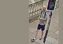 Police seek public help after Bath assault
