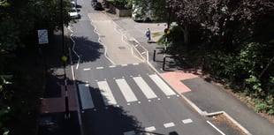 Pigeon delays opening of zebra crossing for over a month
