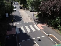 Pigeon delays opening of zebra crossing for over a month