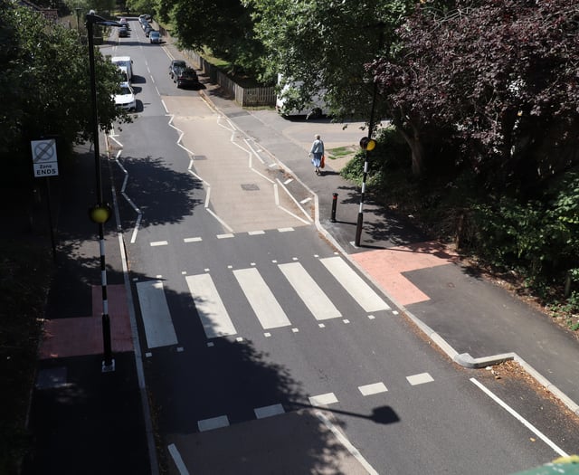 Pigeon delays opening of zebra crossing for over a month