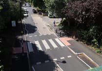 Zebra crossing opening delayed for over a month... because of a pigeon
