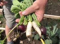 Learn organic gardening with course