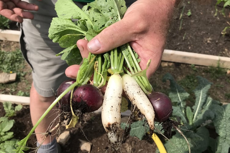 Growing your own can be very rewarding – although the weather can pose a challenge.