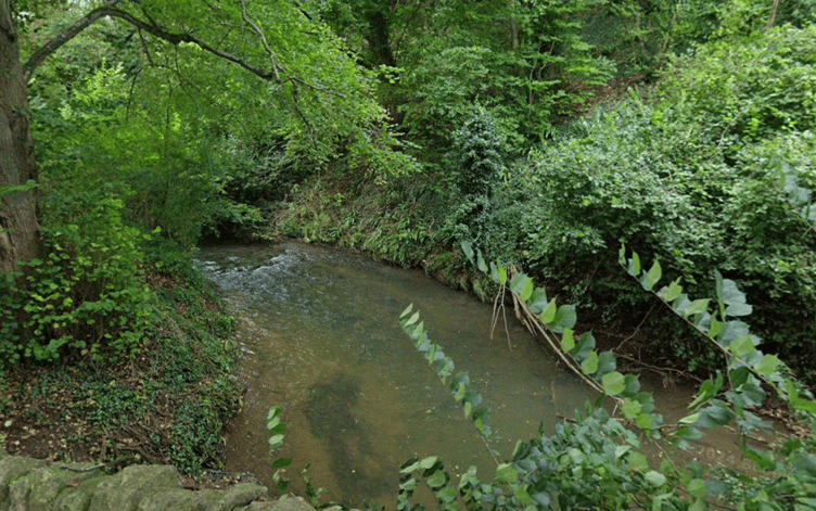 The Cam Brook, near Carlingcott