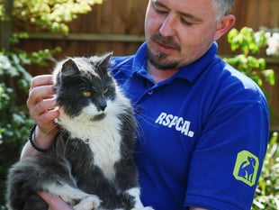 Figures reveal 263 reports of animal beatings during summer 