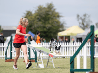 Victory in Kennel Club agility stakes for Yatton handler