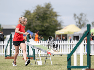 Victory in Kennel Club agility stakes for Yatton handler