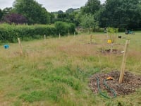 Chew Valley Plants Trees: Keeping trees watered in times of drought
