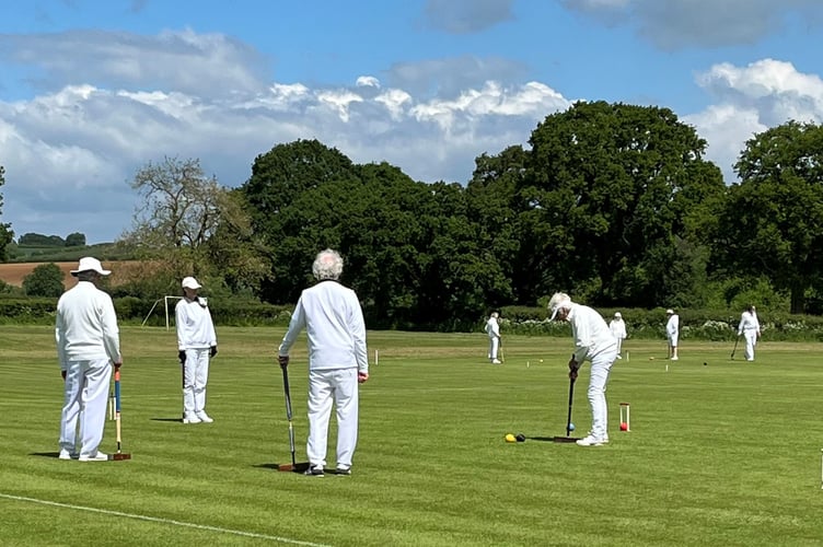 Rotarians in annual croquet challenge match