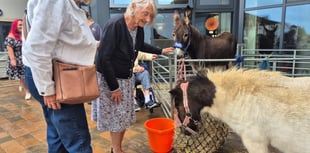 Summer fayre raises £900 for charity