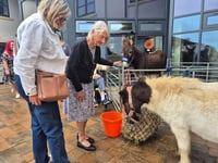 Summer fayre raises £900 for charity