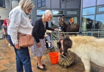 Community unites at Somer Valley Fayre