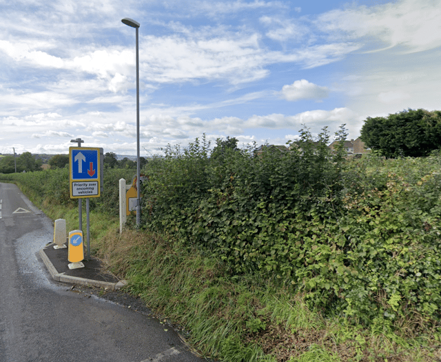 Plans for 130 homes face local opposition