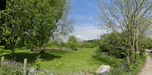 Community picnic to take place at Egford Park's Tiny Forest