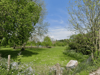 Community picnic to take place at Egford Park's Tiny Forest