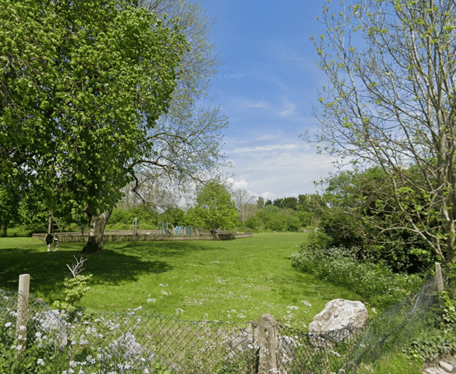 Community picnic to take place at Egford Park's Tiny Forest
