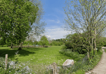 Community picnic to take place at Egford Park's Tiny Forest