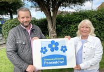 Peasedown campaign urges groups to ‘make a pledge for dementia’