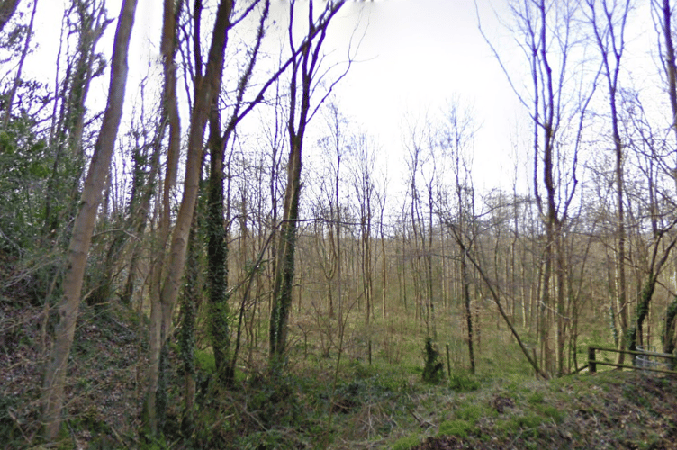 Greyfield Wood is estimated to be closed for about two months as felling work is carried out.