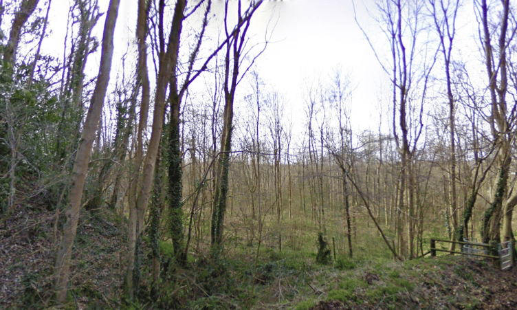 Greyfield Wood is estimated to be closed for about two months as felling work is carried out.