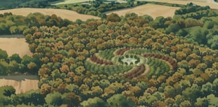 Creation of living sculpture in Lower Chew Forest to begin this winter