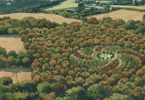 Collaboration to see creation of living sculpture in the Lower Chew Forest