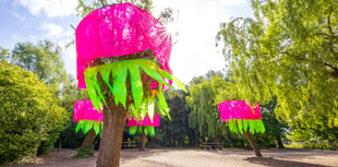 Forest of Imagination festival set to return to former golf course