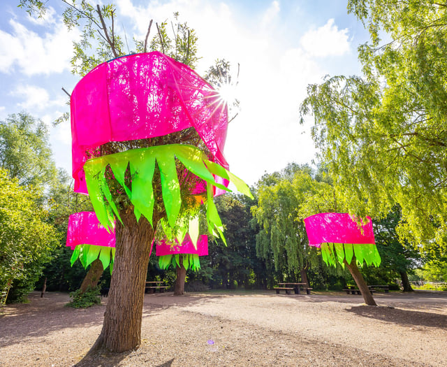Forest of Imagination festival set to return to former golf course