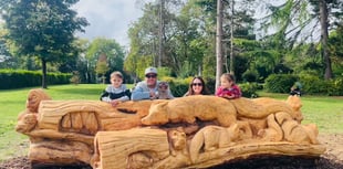 Norway maple becomes carved bench