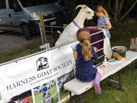 Much loved fete was bittersweet as it marks WI's final swansong 